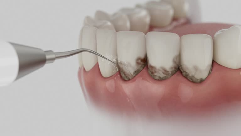 Reliable Dental contractor in Montgomery County County, TX by Dentist Open Now